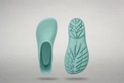 Ranidae><noscript><img width=