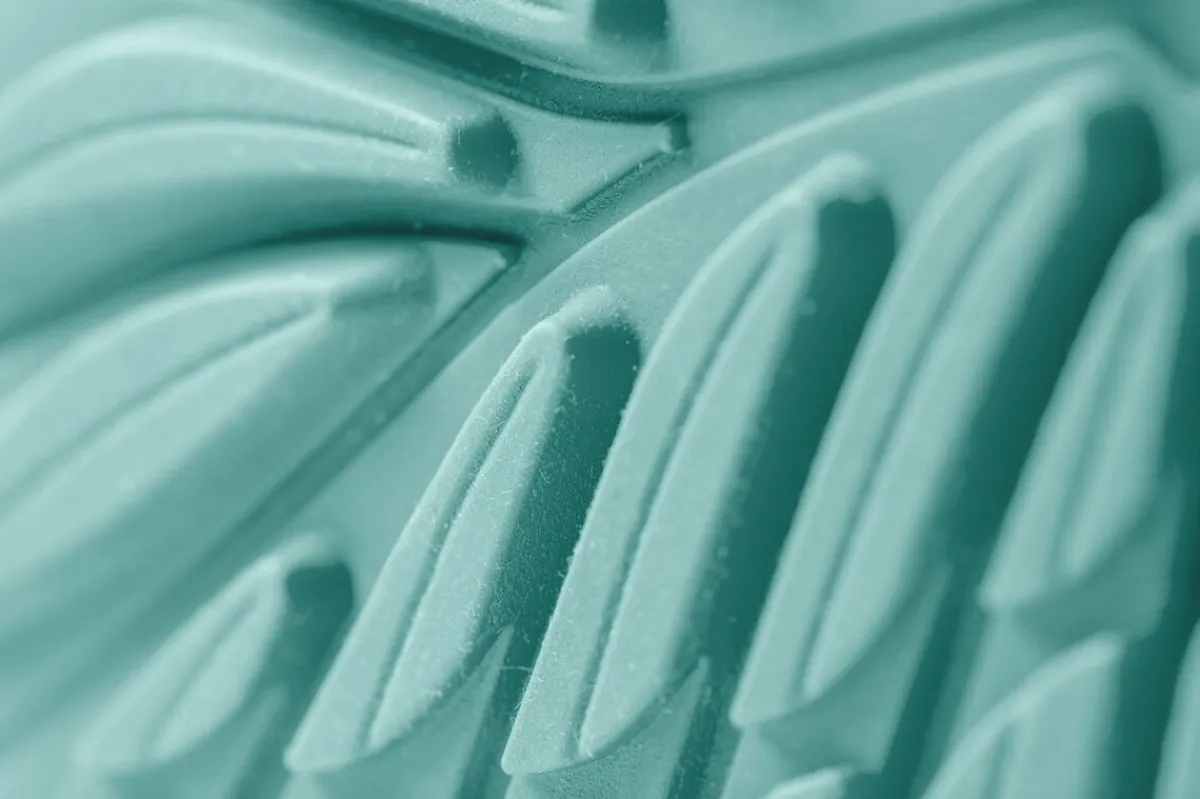 Ranidae>Wildling Shoes Online