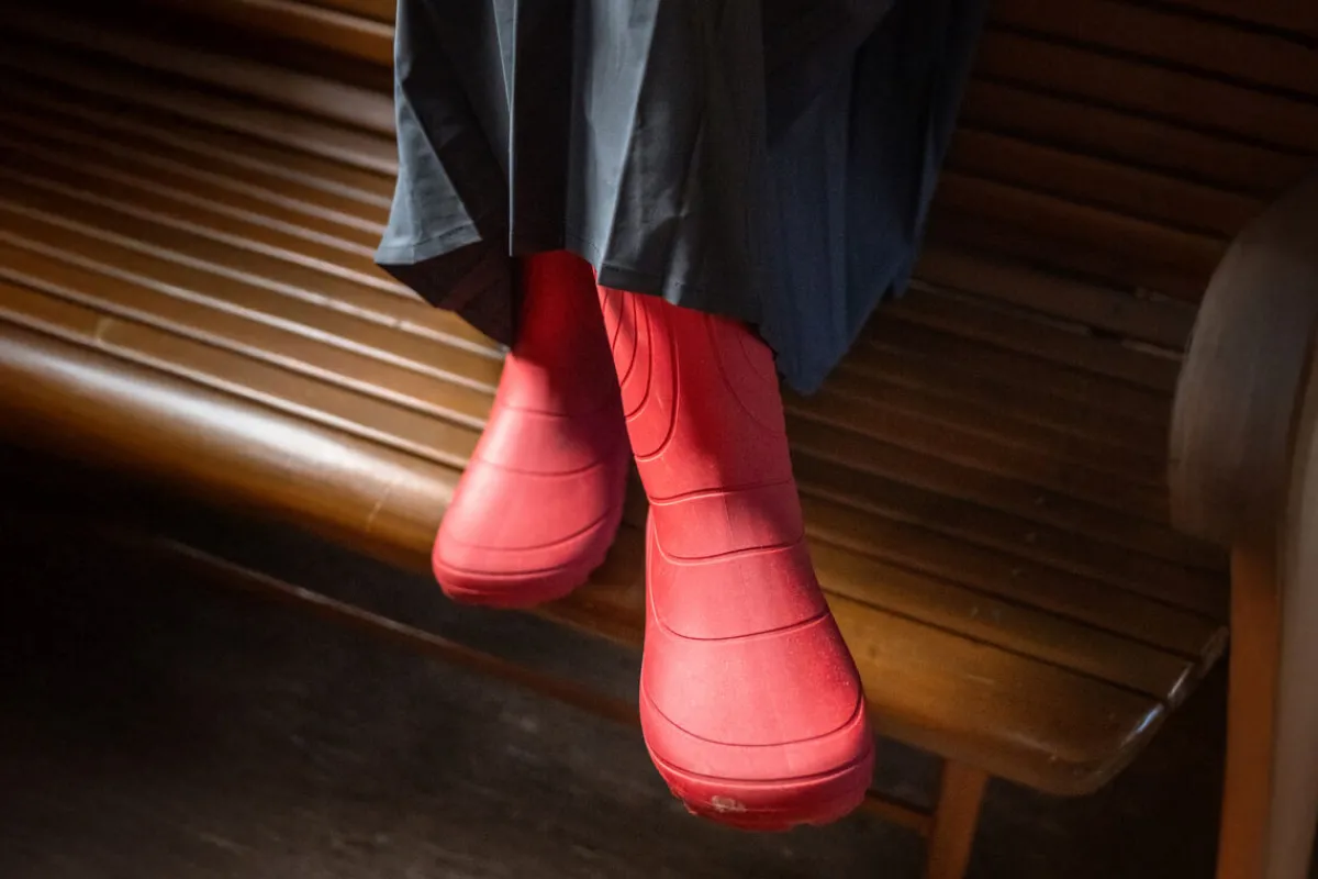 Ranidae>Wildling Shoes New