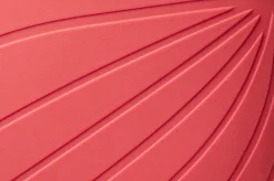 Ranidae><noscript><img width=