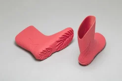 Ranidae><noscript><img width=