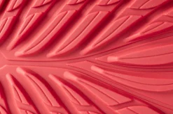 Ranidae><noscript><img width=