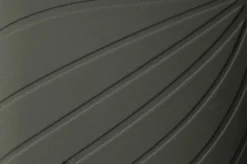 Ranidae><noscript><img width=