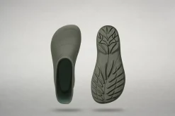 Ranidae><noscript><img width=