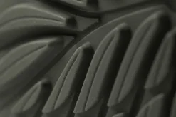 Ranidae><noscript><img width=