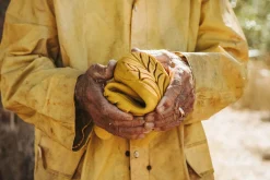 Ranidae>Wildling Shoes Outlet