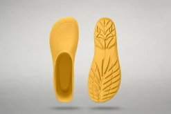 Ranidae><noscript><img width=