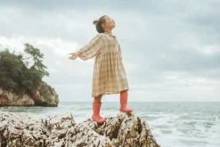 Ranidae><noscript><img width=