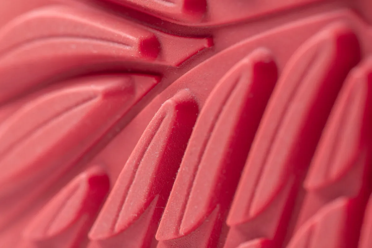 Ranidae>Wildling Shoes Best