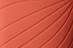 Ranidae><noscript><img width=