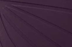 Ranidae><noscript><img width=