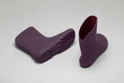 Ranidae><noscript><img width=