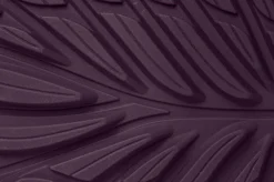 Ranidae><noscript><img width=