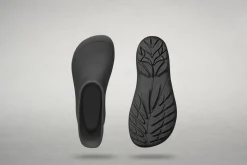 Ranidae><noscript><img width=