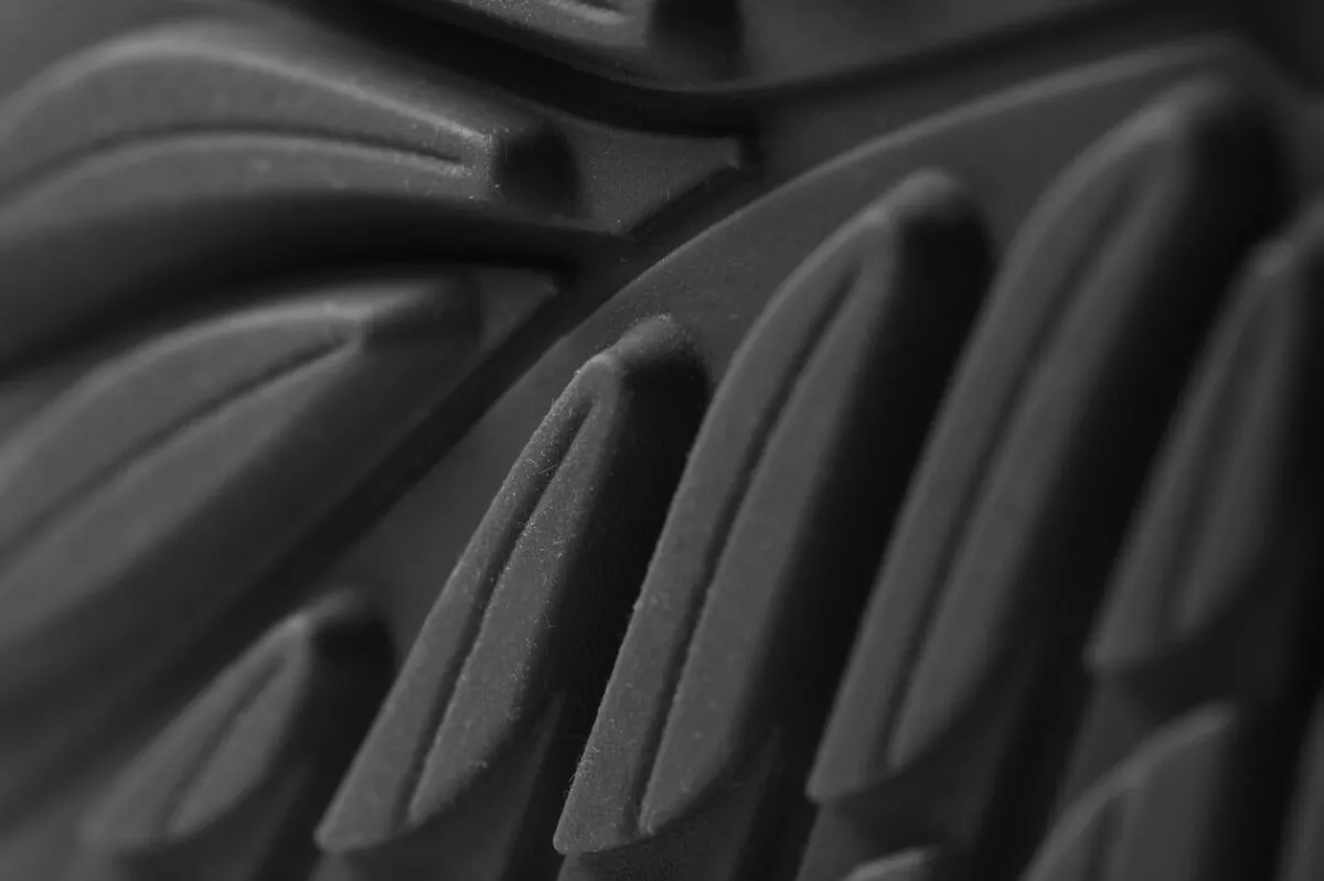 Ranidae>Wildling Shoes Best