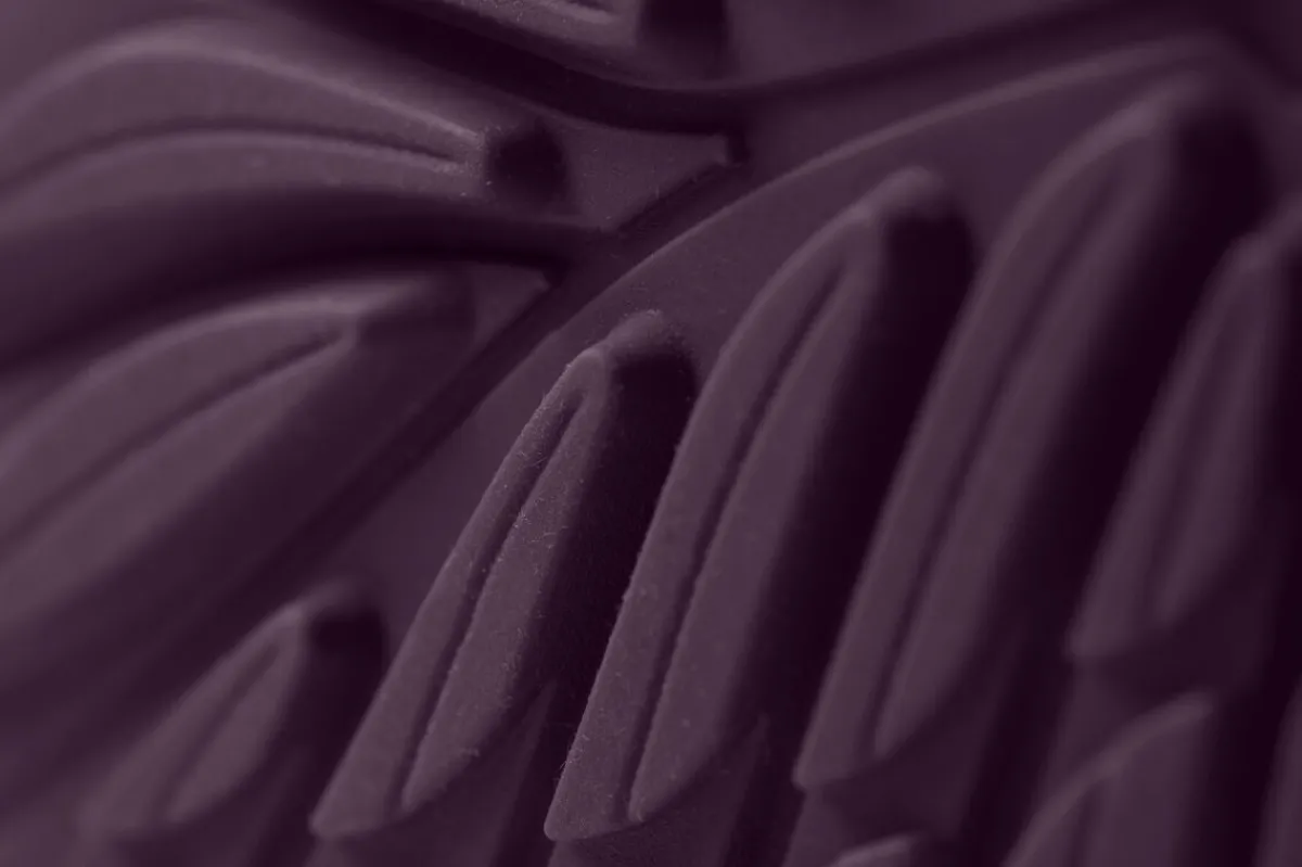 Ranidae>Wildling Shoes Online