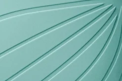 Ranidae><noscript><img width=