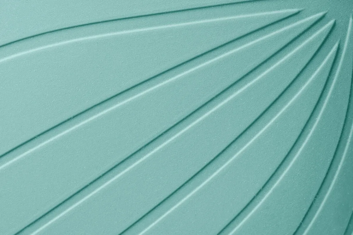 Ranidae>Wildling Shoes Online