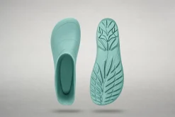 Ranidae><noscript><img width=