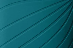 Ranidae><noscript><img width=