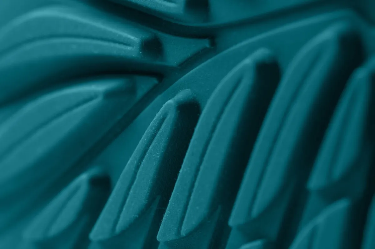 Ranidae>Wildling Shoes Outlet