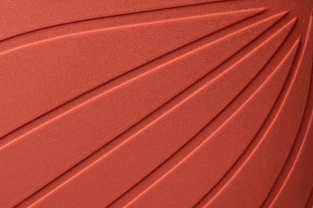 Ranidae>Wildling Shoes Best