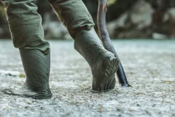 Ranidae><noscript><img width=