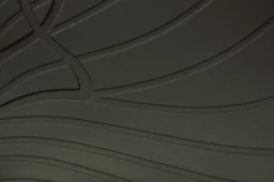 Ranidae><noscript><img width=