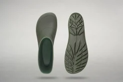 Ranidae><noscript><img width=