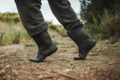 Ranidae><noscript><img width=