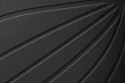 Ranidae><noscript><img width=