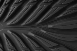 Ranidae><noscript><img width=