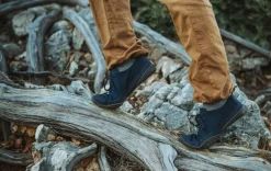 Risaik blueberry><noscript><img width=