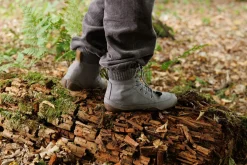 Robinie><noscript><img width=