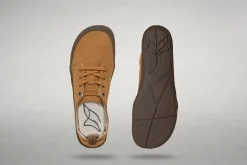 Robulo camel><noscript><img width=