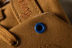 Robulo camel><noscript><img width=