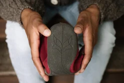 Rotkap><noscript><img width=