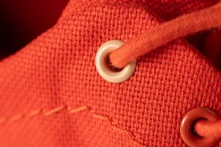 Tanuki><noscript><img width=