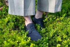 Tanuki><noscript><img width=