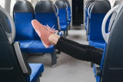 Tanuki><noscript><img width=