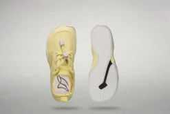 Tanuki><noscript><img width=