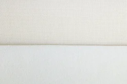 Tanuki><noscript><img width=