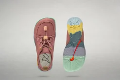 Tanuki><noscript><img width=