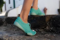 Tanuki><noscript><img width=