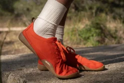 Tanuki><noscript><img width=