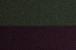 Tejo><noscript><img width=