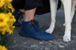 Tejo><noscript><img width=