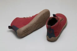 Tejo><noscript><img width=