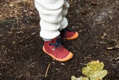 Tejo><noscript><img width=