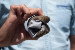 Tengri>Wildling Shoes Discount